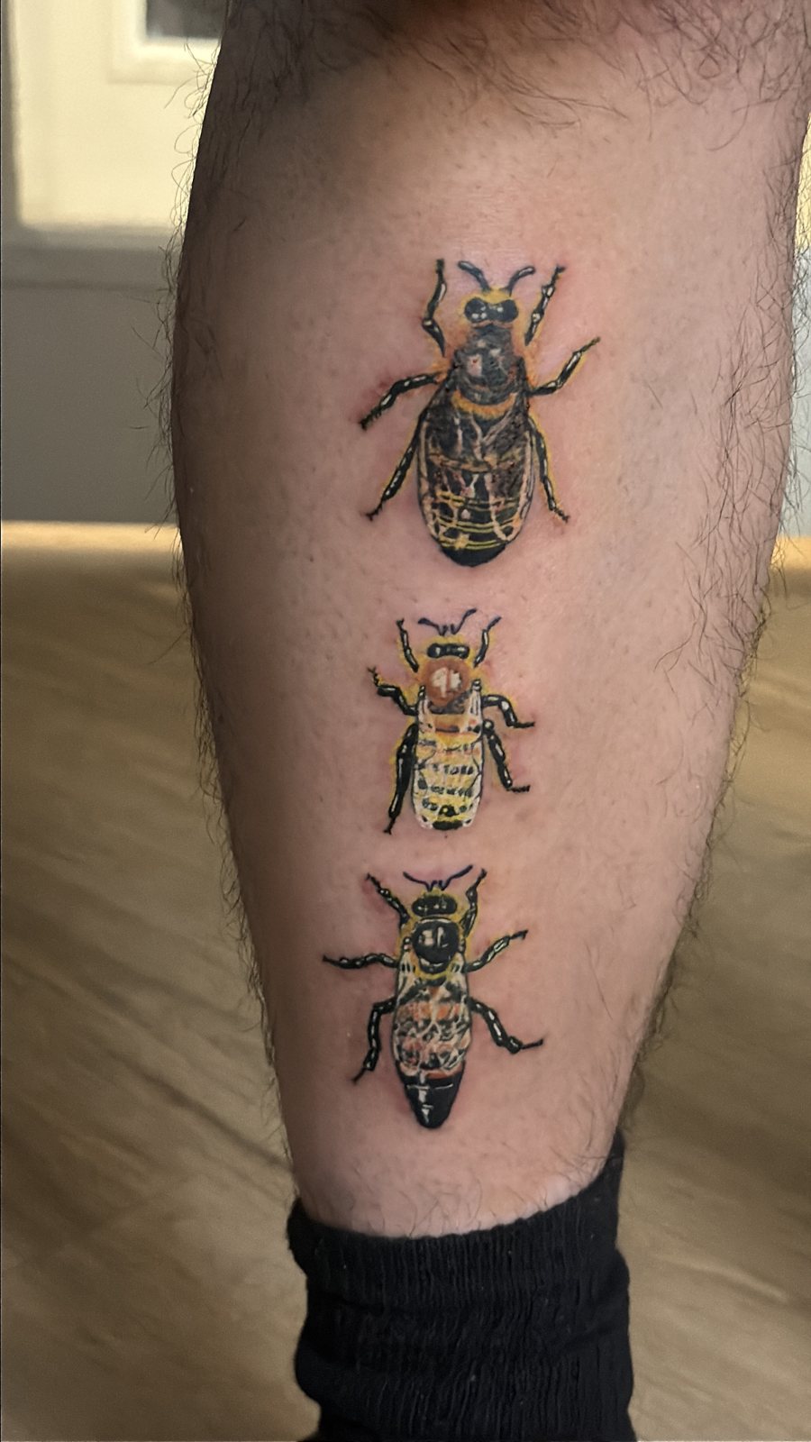 Beetle Trio