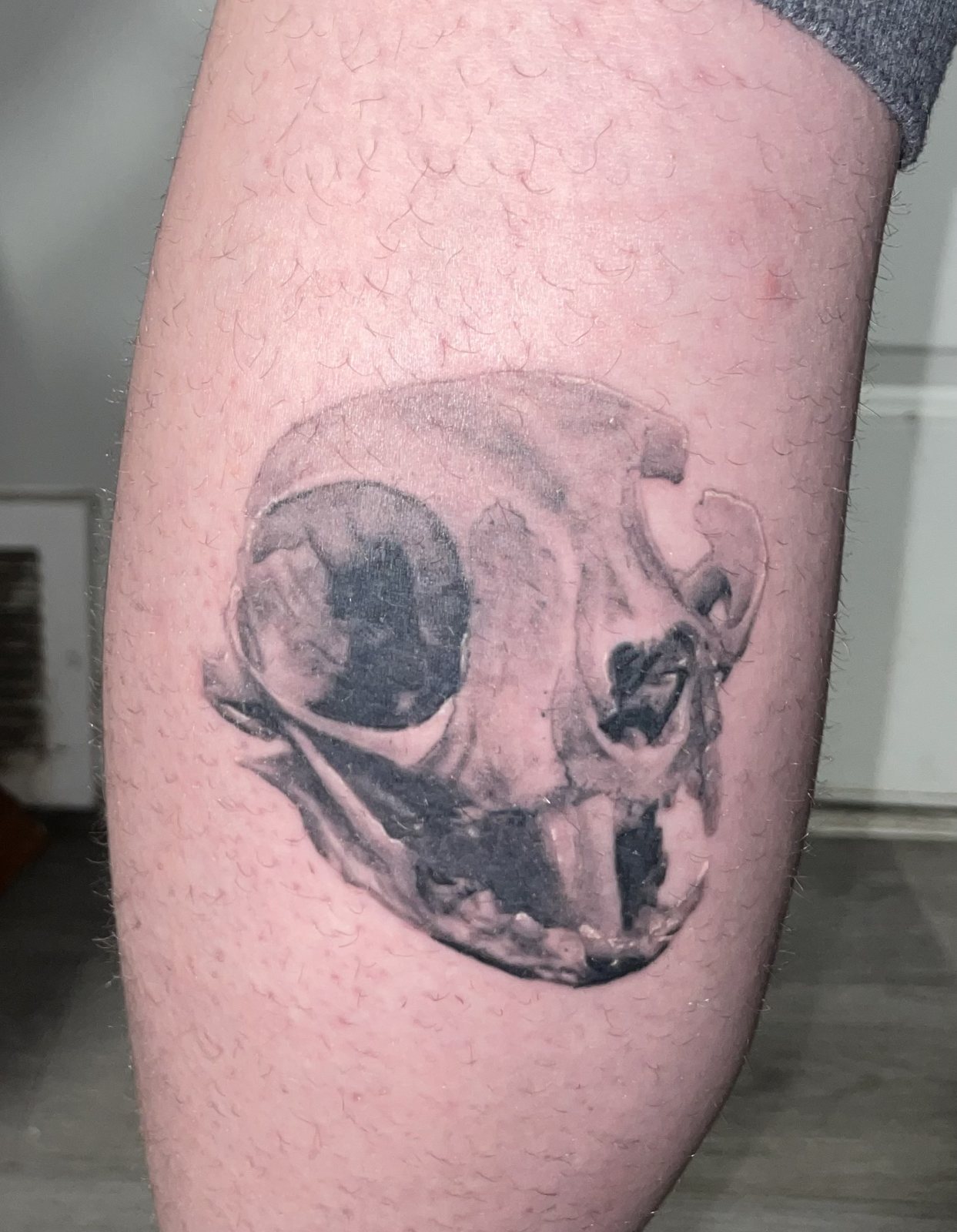 Cat Skull
