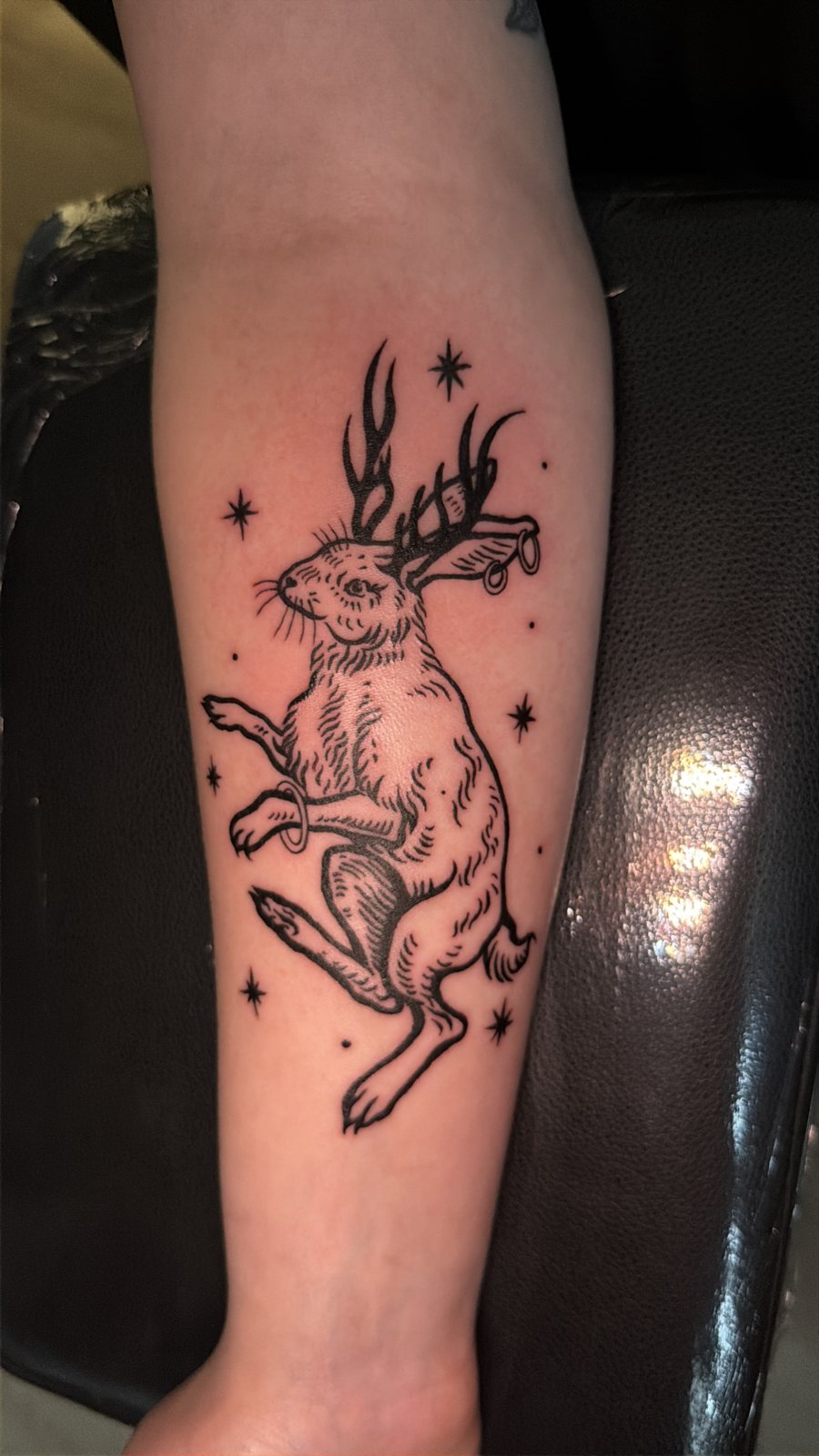Jackalope