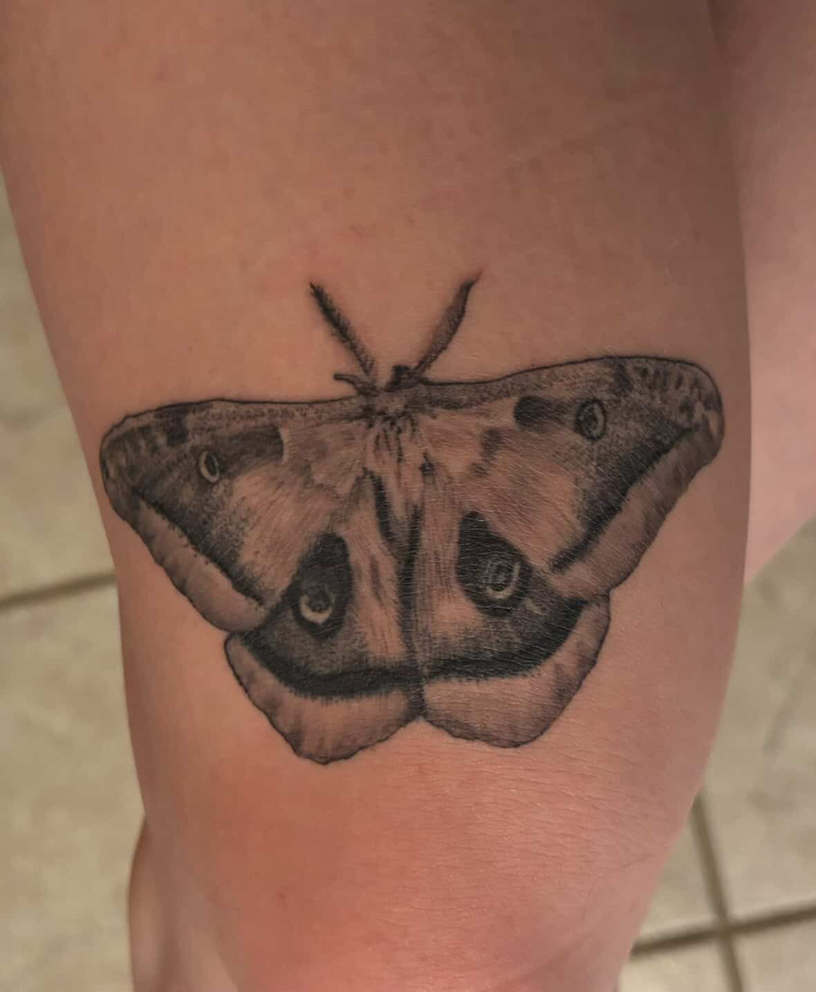 Moth